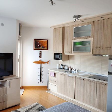 Apartman Lux Sneznik Врнячка-Баня Экстерьер фото