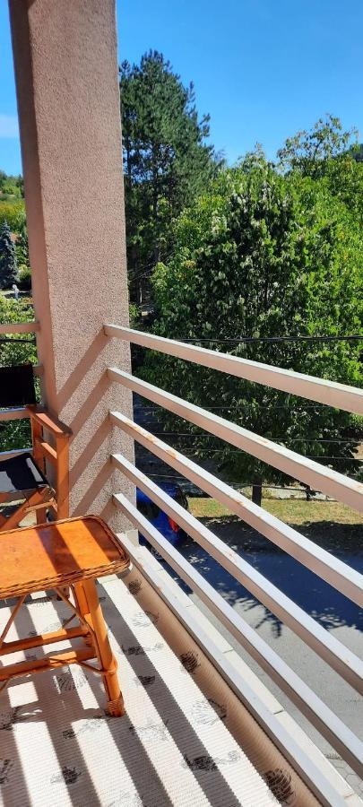 Apartman Lux Sneznik Врнячка-Баня Экстерьер фото